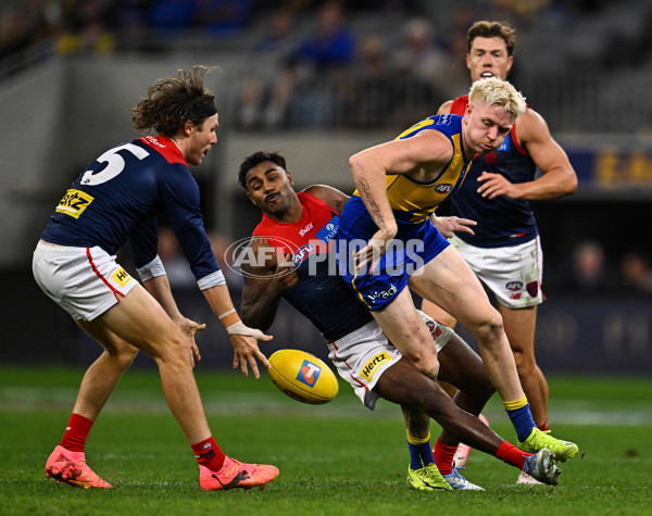AFL 2025 Round 08 - West Coast v Melbourne - A-59175074