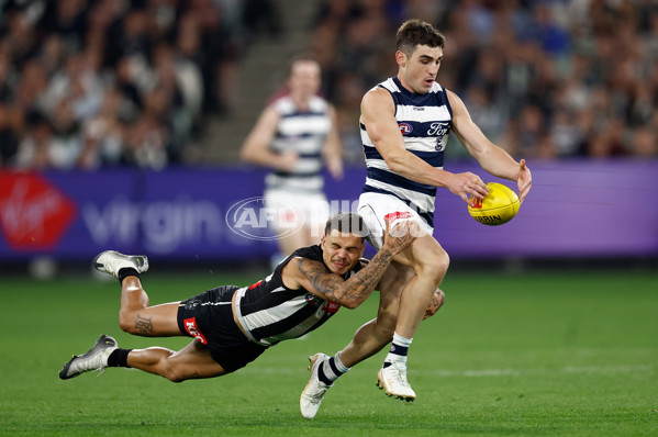 AFL 2025 Round 08 - Collingwood v Geelong - A-59176046
