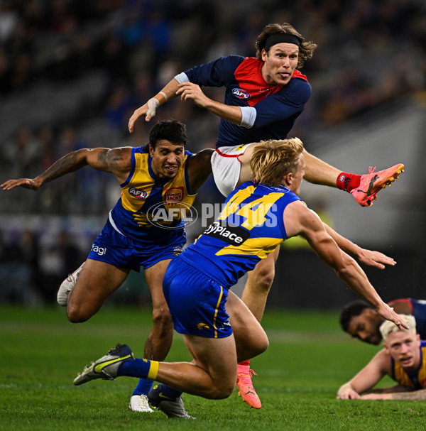 AFL 2025 Round 08 - West Coast v Melbourne - A-59176052