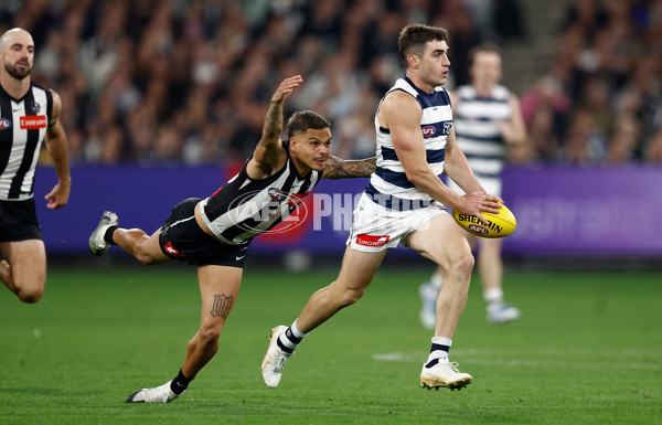 AFL 2025 Round 08 - Collingwood v Geelong - A-59176074