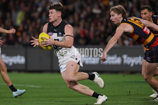 AFL 2025 Round 08 - Adelaide v Carlton - A-59176080