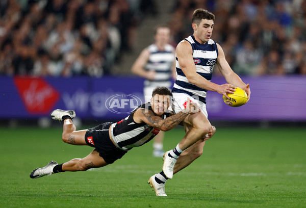 AFL 2025 Round 08 - Collingwood v Geelong - A-59177417