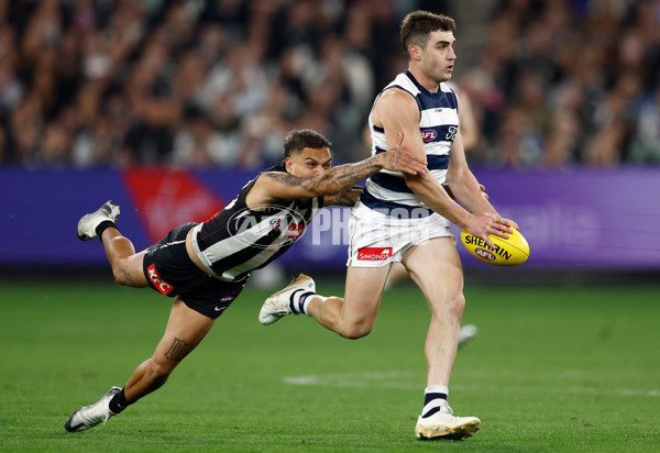 AFL 2025 Round 08 - Collingwood v Geelong - A-59177418