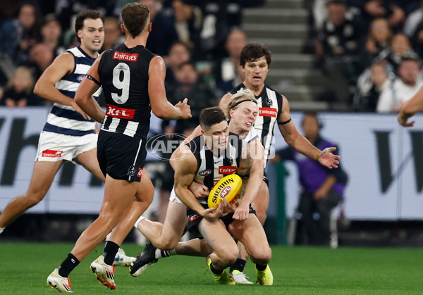 AFL 2025 Round 08 - Collingwood v Geelong - A-59177430