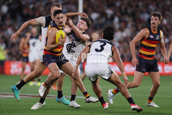 AFL 2025 Round 08 - Adelaide v Carlton - A-59177442