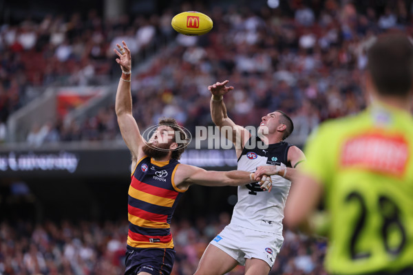 AFL 2025 Round 08 - Adelaide v Carlton - A-59177475