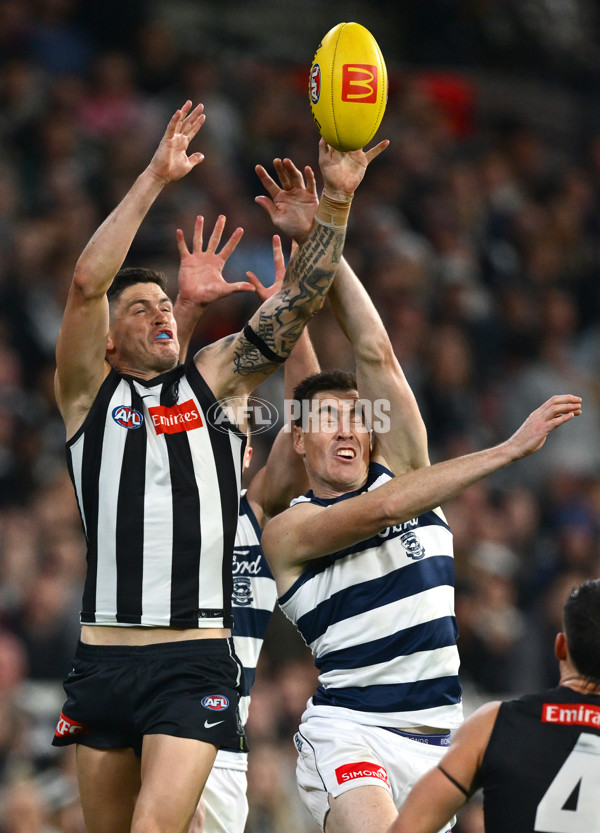 AFL 2025 Round 08 - Collingwood v Geelong - A-59177477