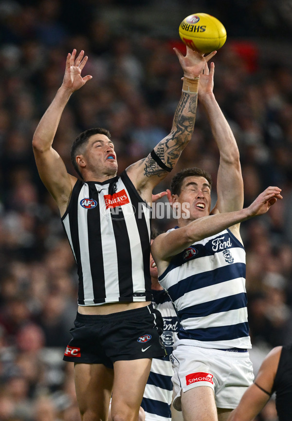 AFL 2025 Round 08 - Collingwood v Geelong - A-59177479