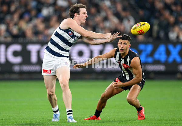 AFL 2025 Round 08 - Collingwood v Geelong - A-59177503