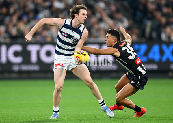 AFL 2025 Round 08 - Collingwood v Geelong - A-59177504