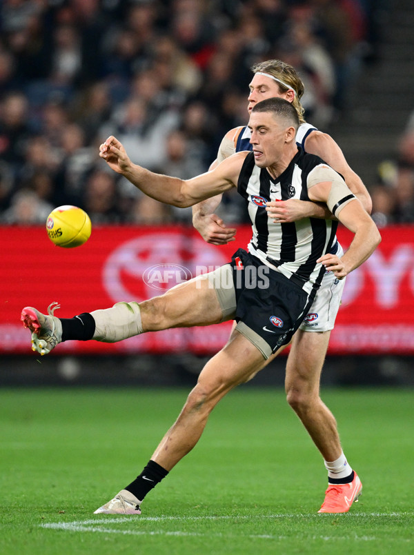 AFL 2025 Round 08 - Collingwood v Geelong - A-59178381