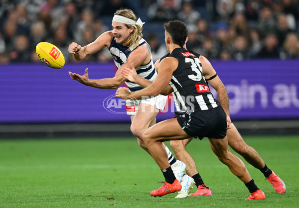 AFL 2025 Round 08 - Collingwood v Geelong - A-59178382