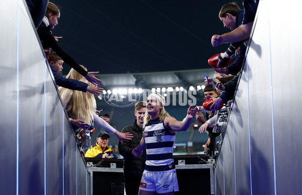 AFL 2025 Round 08 - Collingwood v Geelong - A-59178423