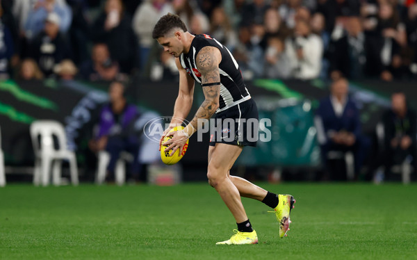AFL 2025 Round 08 - Collingwood v Geelong - A-59180005