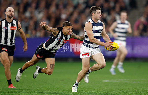 AFL 2025 Round 08 - Collingwood v Geelong - A-59180028
