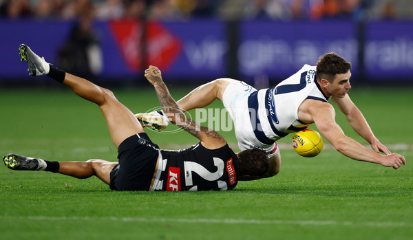 AFL 2025 Round 08 - Collingwood v Geelong - A-59180029