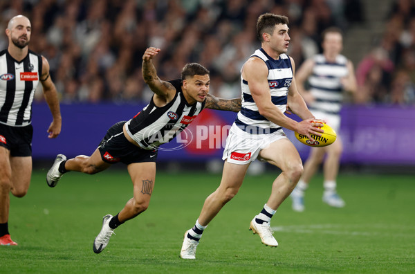 AFL 2025 Round 08 - Collingwood v Geelong - A-59180030