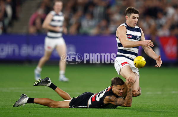 AFL 2025 Round 08 - Collingwood v Geelong - A-59180872