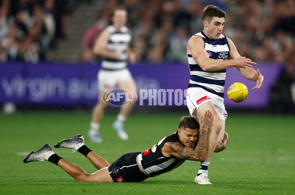 AFL 2025 Round 08 - Collingwood v Geelong - A-59180875