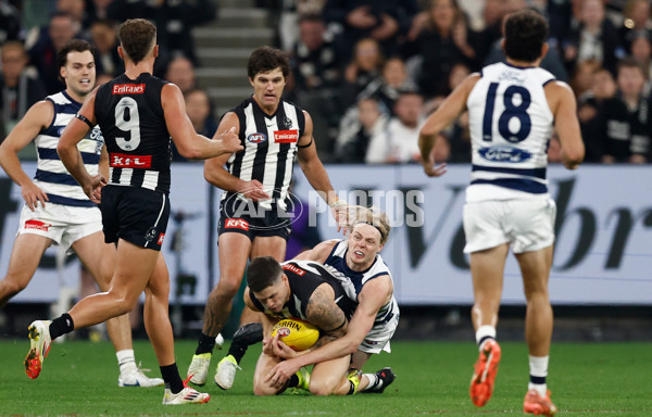 AFL 2025 Round 08 - Collingwood v Geelong - A-59180876