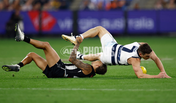 AFL 2025 Round 08 - Collingwood v Geelong - A-59180907