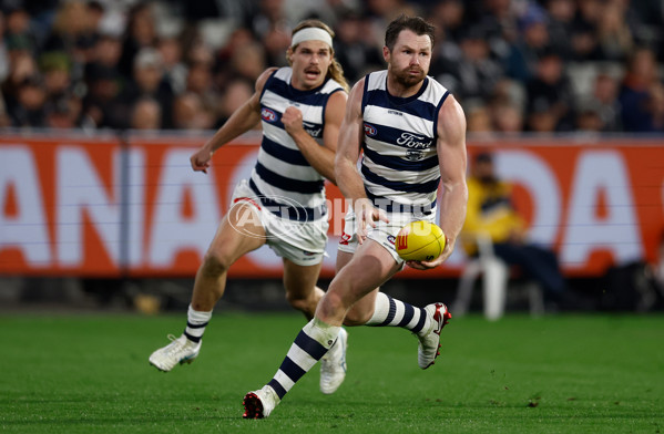 AFL 2025 Round 08 - Collingwood v Geelong - A-59180916