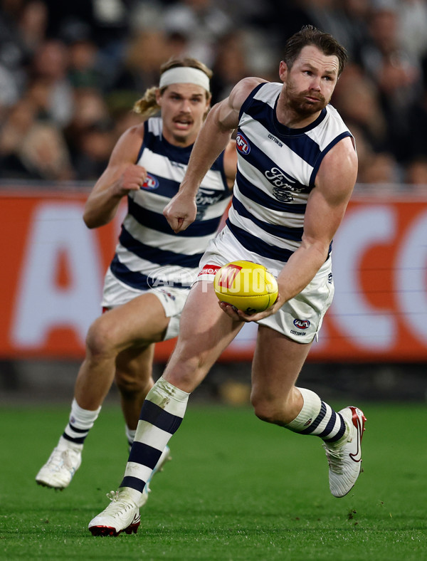 AFL 2025 Round 08 - Collingwood v Geelong - A-59180919