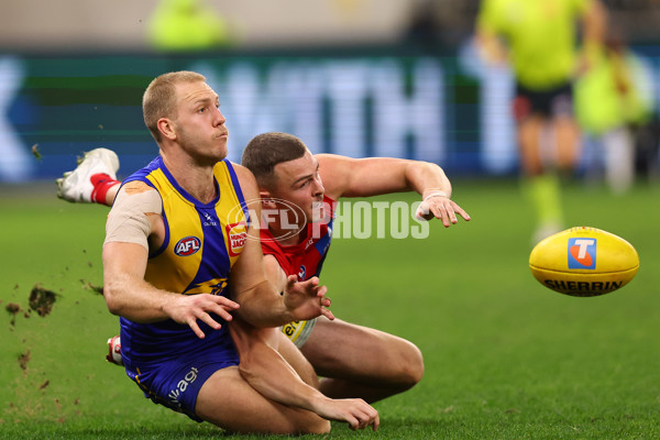 AFL 2025 Round 08 - West Coast v Melbourne - A-59182295