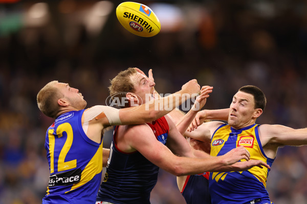 AFL 2025 Round 08 - West Coast v Melbourne - A-59182302