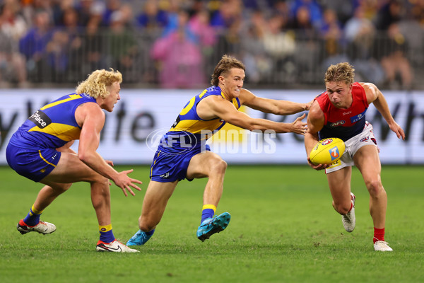 AFL 2025 Round 08 - West Coast v Melbourne - A-59182772