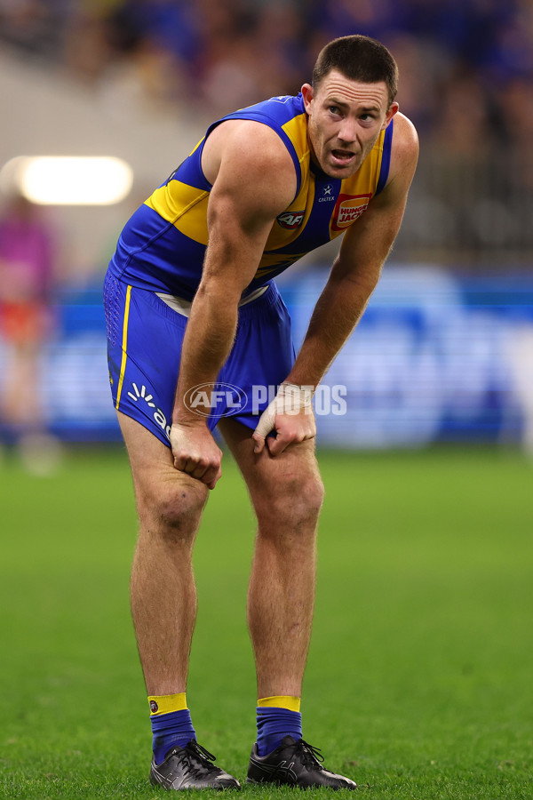 AFL 2025 Round 08 - West Coast v Melbourne - A-59182777