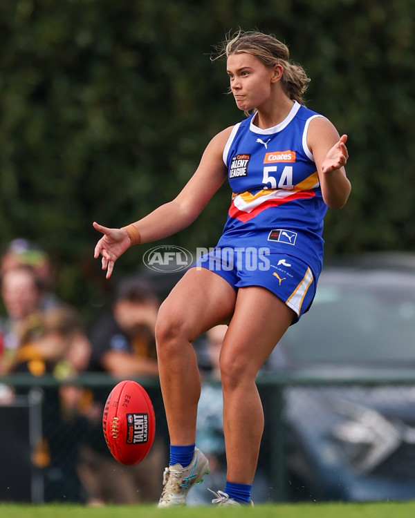 Coates League Girls 2025 Round 04 - Eastern Ranges v Gold Coast Academy - A-59184739