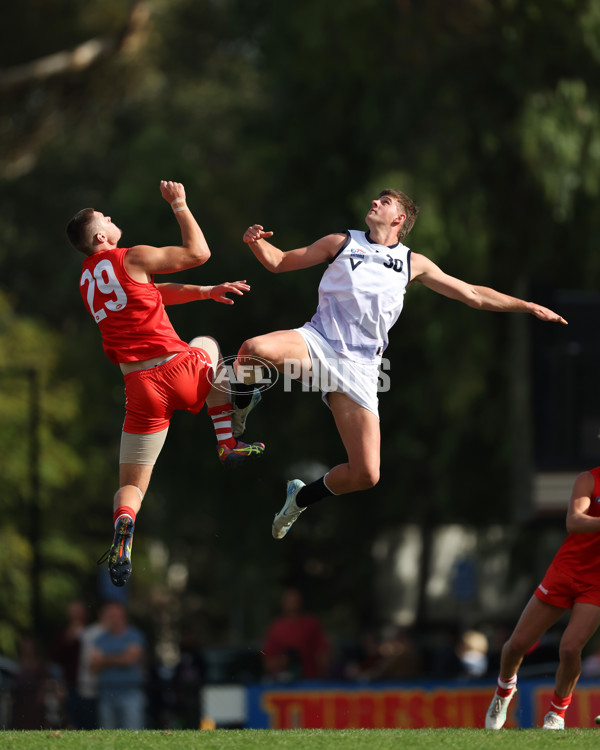 Young Guns Series 2025 - Young Guns v Victoria Country U18 Boys - A-59186347