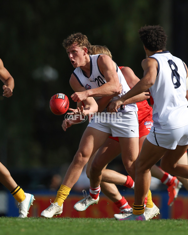 Young Guns Series 2025 - Young Guns v Victoria Country U18 Boys - A-59186348