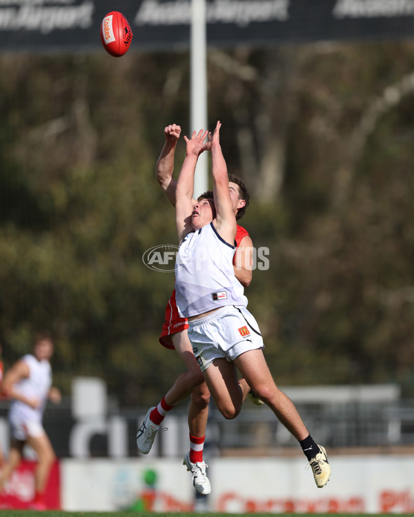 Young Guns Series 2025 - Young Guns v Victoria Country U18 Boys - A-59189251