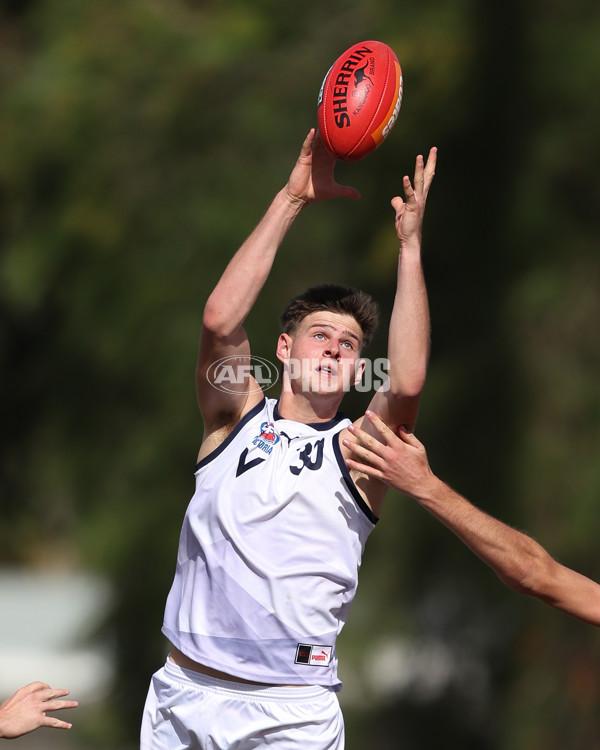 Young Guns Series 2025 - Young Guns v Victoria Country U18 Boys - A-59189254
