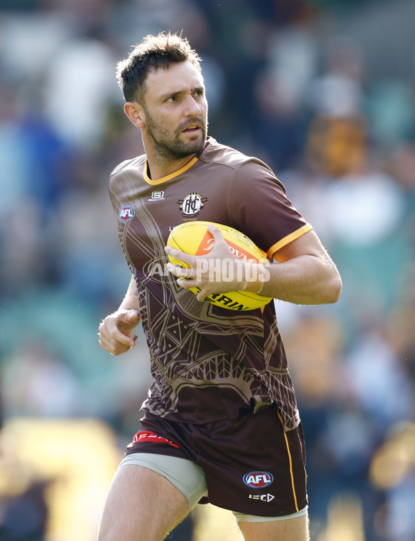 AFL 2025 Round 08 - Hawthorn v Richmond - A-59191913