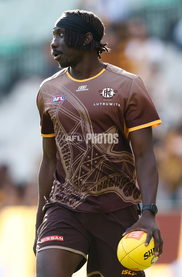 AFL 2025 Round 08 - Hawthorn v Richmond - A-59191918