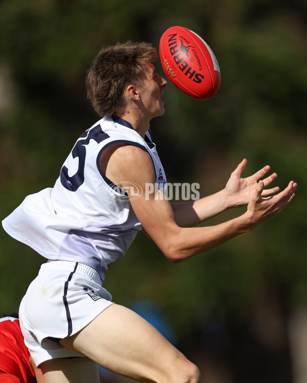 Young Guns Series 2025 - Young Guns v Victoria Country U18 Boys - A-59193569