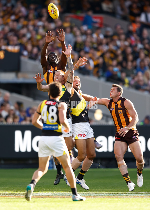 AFL 2025 Round 08 - Hawthorn v Richmond - A-59196289