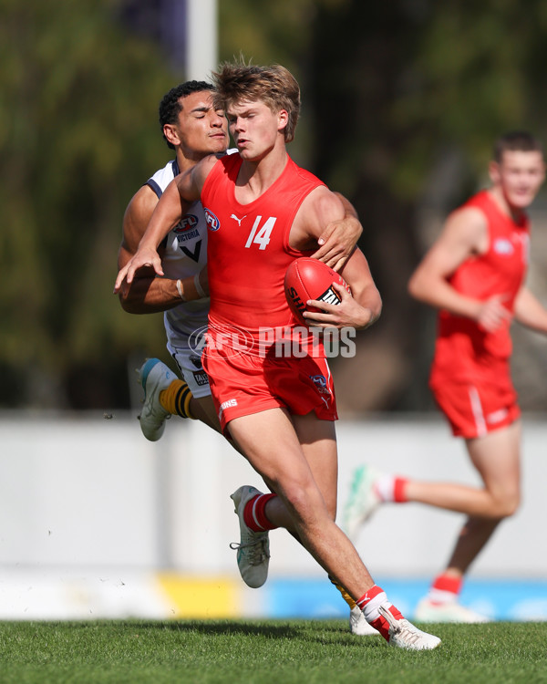 Young Guns Series 2025 - Young Guns v Victoria Country U18 Boys - A-59196911