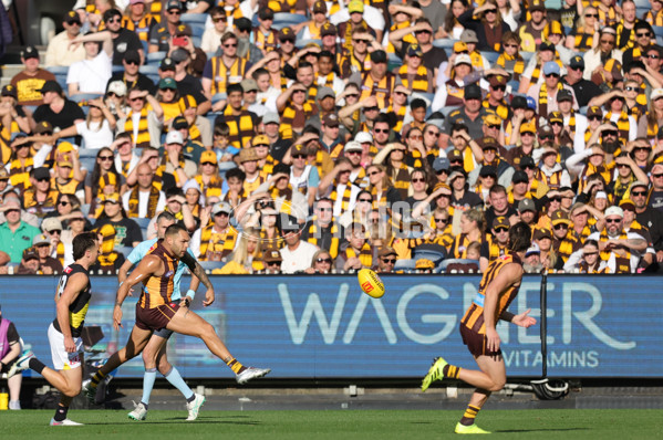 AFL 2025 Round 08 - Hawthorn v Richmond - A-59197001