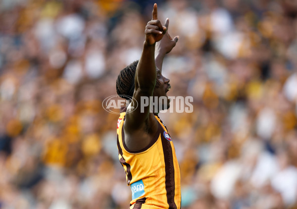 AFL 2025 Round 08 - Hawthorn v Richmond - A-59199505