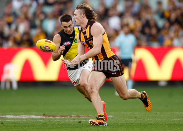 AFL 2025 Round 08 - Hawthorn v Richmond - A-59201831