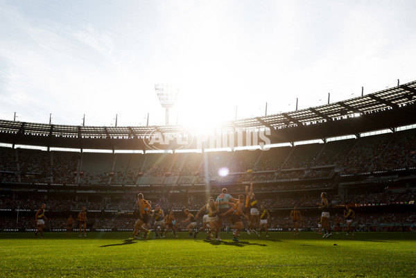 AFL 2025 Round 08 - Hawthorn v Richmond - A-59201832