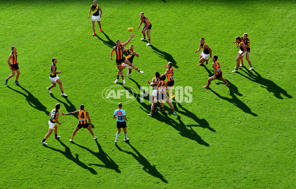AFL 2025 Round 08 - Hawthorn v Richmond - A-59202140