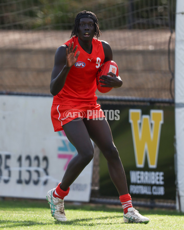 Young Guns Series 2025 - Young Guns v Victoria Country U18 Boys - A-59204693
