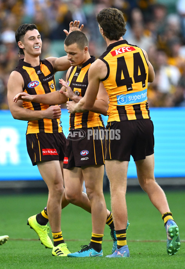AFL 2025 Round 08 - Hawthorn v Richmond - A-59204749