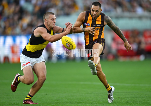 AFL 2025 Round 08 - Hawthorn v Richmond - A-59206809