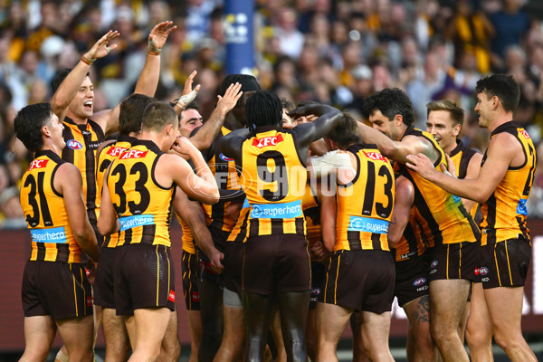 AFL 2025 Round 08 - Hawthorn v Richmond - A-59206839